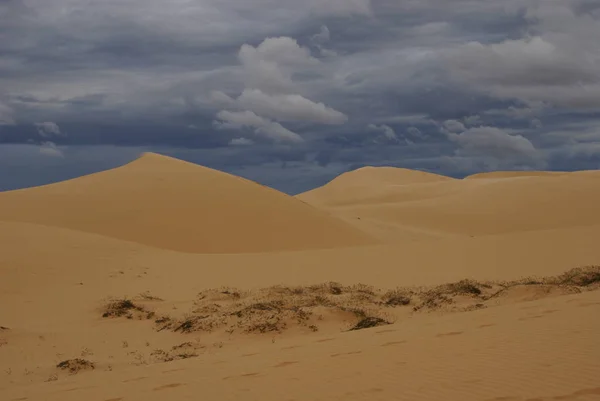 Deserto Arenoso Paisagem Duna — Fotografia de Stock