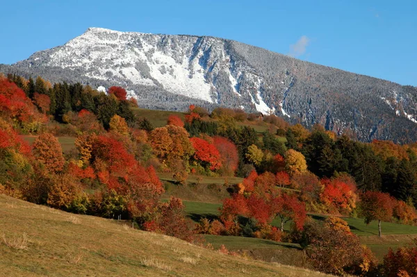 Widok Alto Adige Lub Południowy Tyrol Prowincja Północno Wschodnich Włoszech — Zdjęcie stockowe