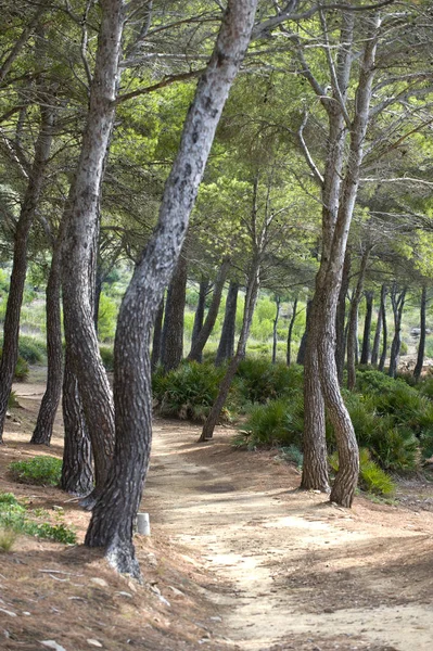 Pintoresca Vista Del Paisaje Rural — Foto de Stock