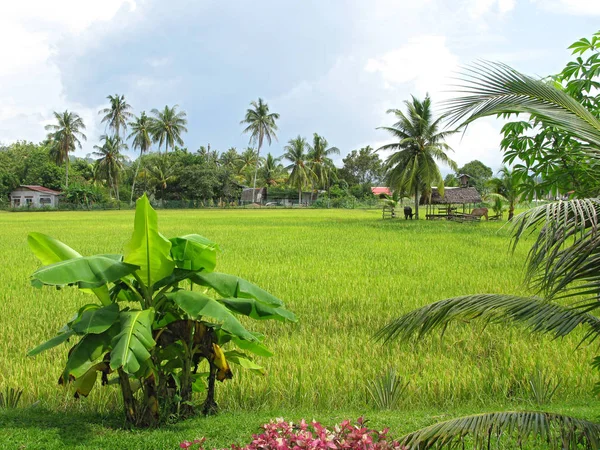 Hermosa Vista Del Paisaje Natural — Foto de Stock