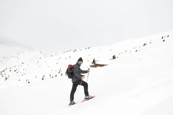 Tirol Del Sur Italia Refugio Los Alpes Italianos — Foto de Stock