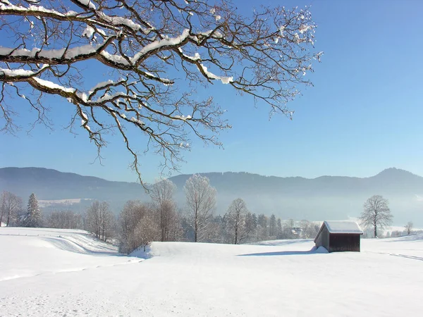 Inverno Montagna — Foto Stock