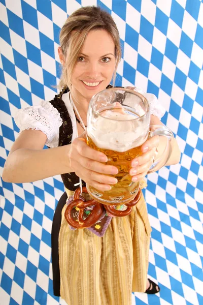 Bavaria Officially Free State Bavaria Landlocked State Germany — Stock Photo, Image