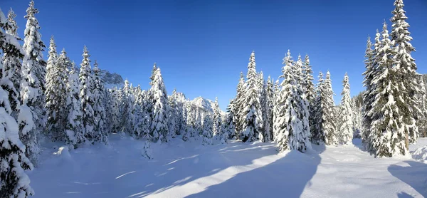 Vacker Utsikt Över Majestätiska Dolomiter Landskap Italy — Stockfoto