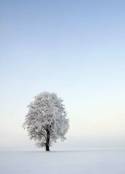 Bela Vista Paisagem Inverno — Fotografia de Stock