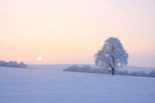 Smuk Udsigt Vinterlandskab - Stock-foto