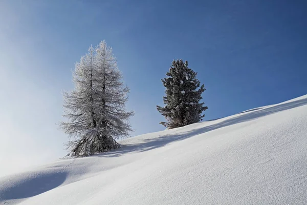 Odpočinek Klon Talersee — Stock fotografie