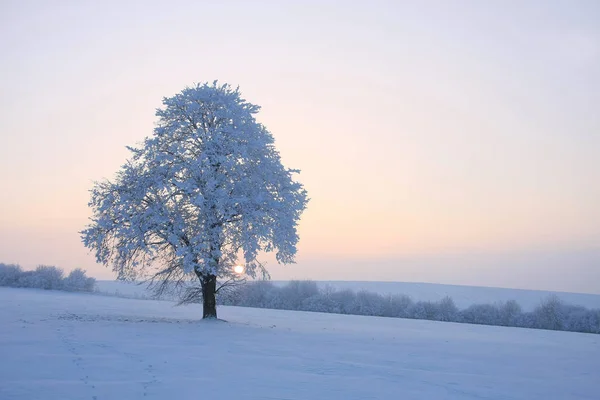 Bella Vista Del Paesaggio Invernale — Foto Stock