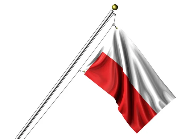 Bandeira Polonesa Isolada Bandeira Ondulação Gráfica — Fotografia de Stock