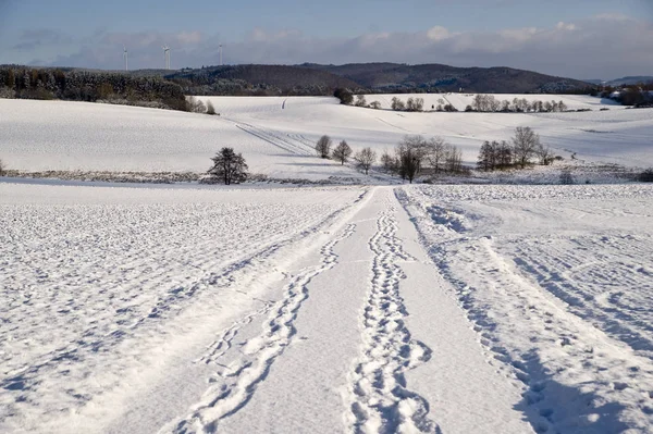 Vue Une Scène Hivernale — Photo