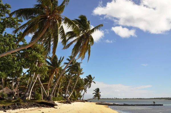 Madagascar Aux Nattes — Stockfoto