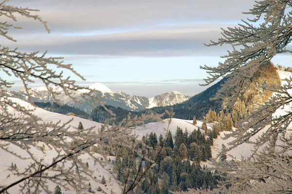 Vista Panoramica Bellissimo Paesaggio Alpino — Foto Stock