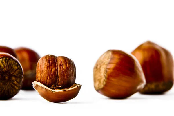 Hazelnuts Белом Фоне — стоковое фото