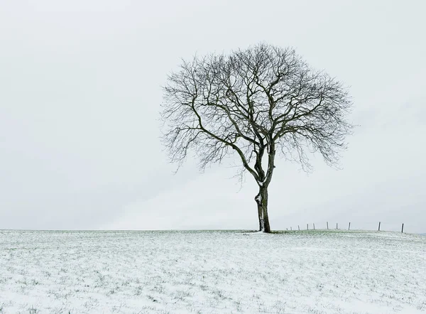 Pittoresk Uitzicht Landschap Stockfoto