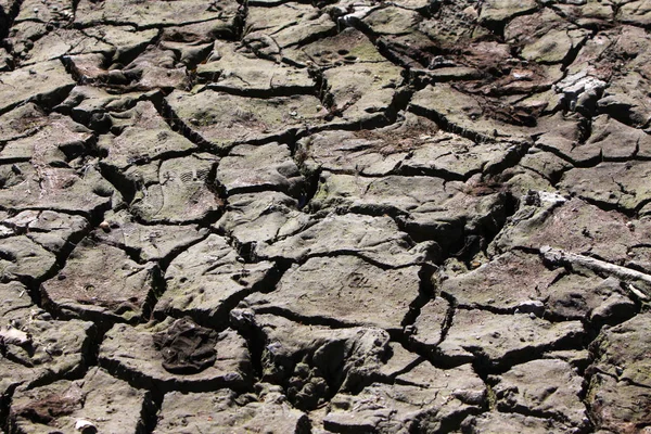 Fissures Sèches Dans Boue — Photo