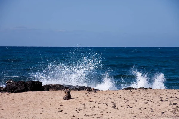 Αμμόλοφοι Στο Fuerteventura Στον Άνεμο — Φωτογραφία Αρχείου