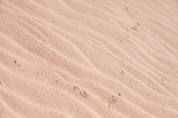 Panoramisch Uitzicht Duinen Selectieve Focus — Stockfoto