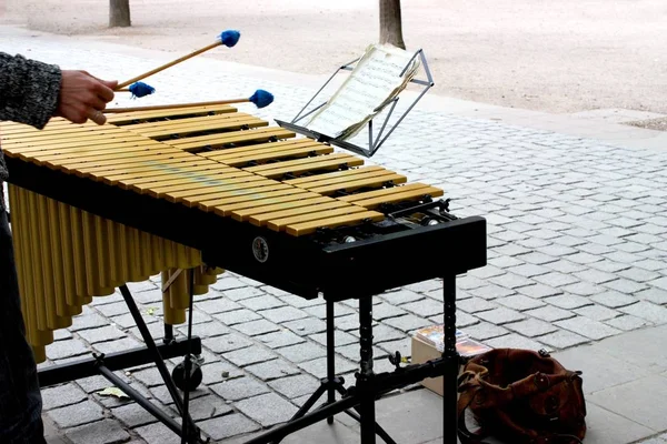Música Xilofone Instrumento Musical — Fotografia de Stock