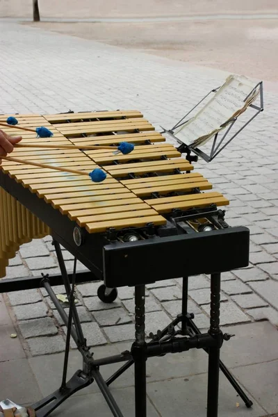 Xylophone — 스톡 사진