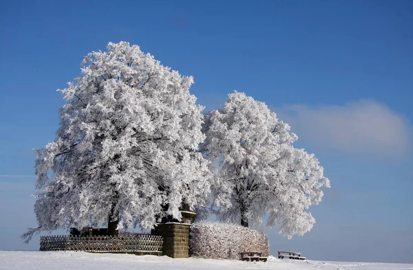 Bela Vista Paisagem Inverno — Fotografia de Stock