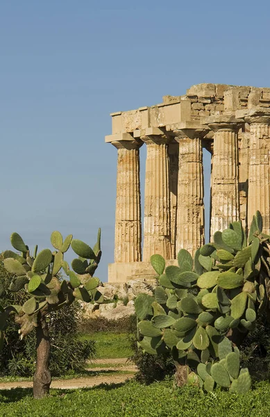 Templet Selinunte Sicilien — Stockfoto