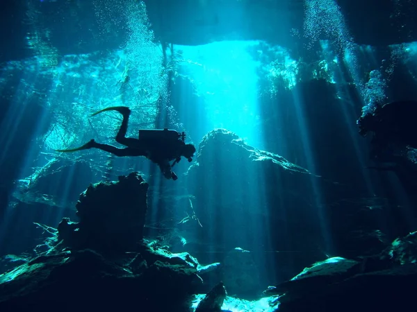 Cave Diving Yucatan Mexico — Stock Photo, Image