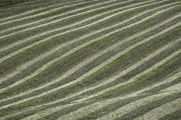 Malerischer Blick Auf Die Natur — Stockfoto