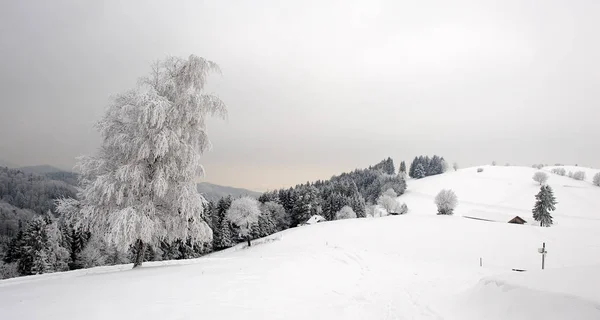 Malebný Výhled Venkovní Scénu — Stock fotografie