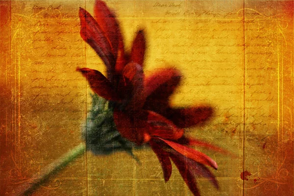 Красочный Фон Валентинки — стоковое фото