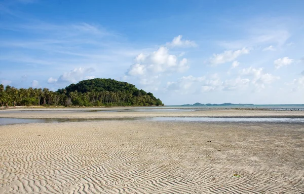 Plage Palmiers Marée Basse — Photo