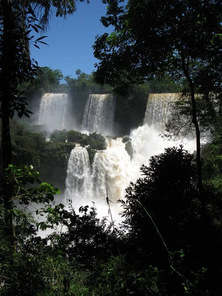 Cascate Iguazu Cascata Nella Giungla — Foto Stock