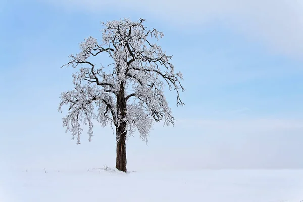 Bela Vista Paisagem Inverno — Fotografia de Stock