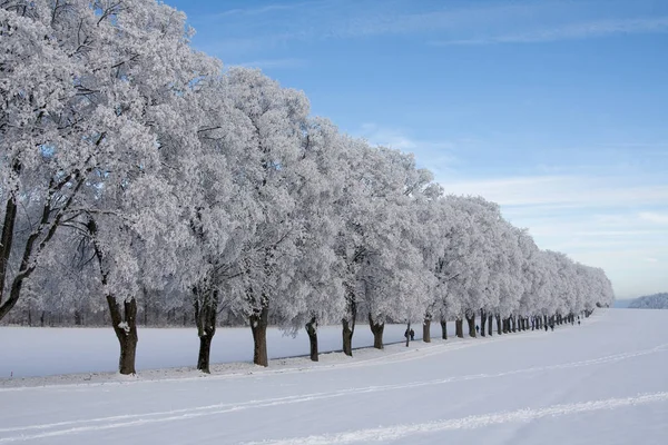 Bela Vista Paisagem Inverno — Fotografia de Stock