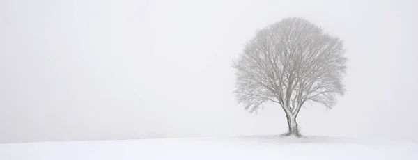 Sfondo Colorato Natale Biglietto Auguri Capodanno — Foto Stock