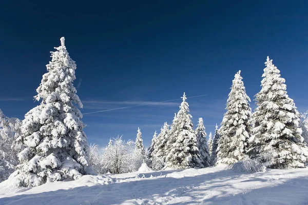 Widok Zimową Scenę — Zdjęcie stockowe