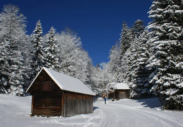 Vista Dos Alpes Montanhas Mais Altas Extensas — Fotografia de Stock