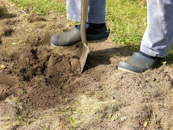 Auschnitt Hombre Con Pala Trabajo Jardín —  Fotos de Stock