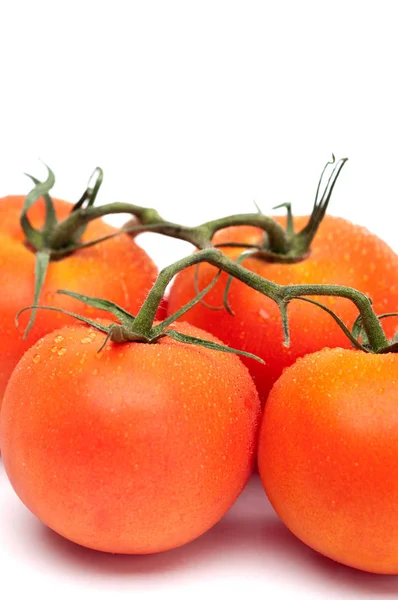 垂直画像の4新鮮な熟したトマト — ストック写真