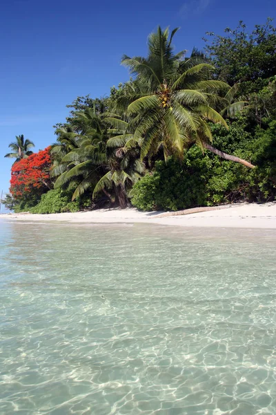 Сейшельсько Індійський Острів Маджонг Видом Острів Маджонг — стокове фото