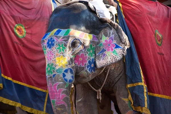 Elefante Animal Africano —  Fotos de Stock