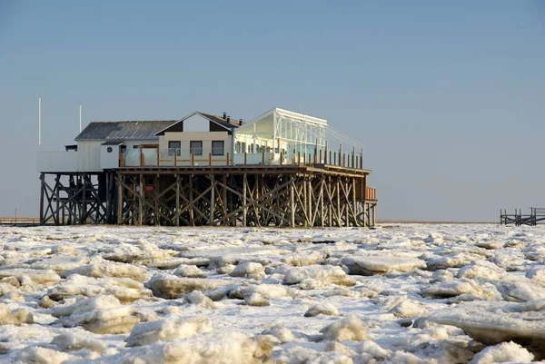 Interessante Architektur Selektiver Fokus — Stockfoto