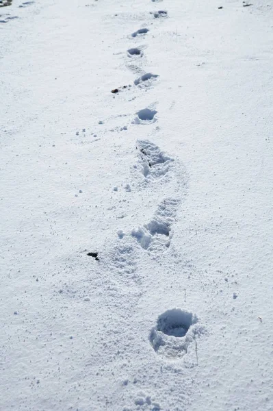 Matkailu Vaellus Vaellus Käsite — kuvapankkivalokuva