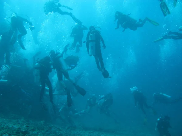 Fondo Pantalla Tema Marino Disparo Luz Del Día — Foto de Stock