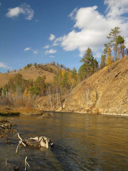 Prachtige Natuur Taiga Mongolië — Stockfoto