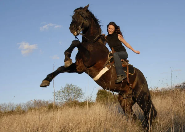 Rearing Stallion Girl — Stock Photo, Image