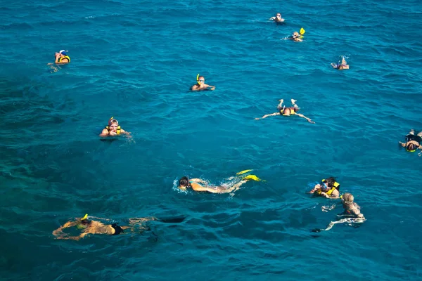 Seagull Sea — Stock Photo, Image