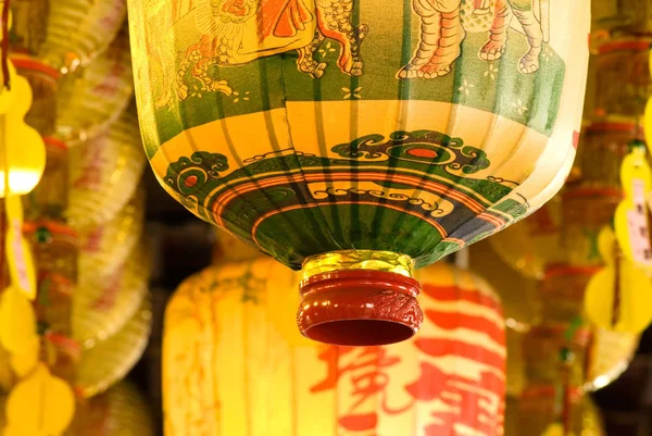 산노란 제비갈매기 — 스톡 사진