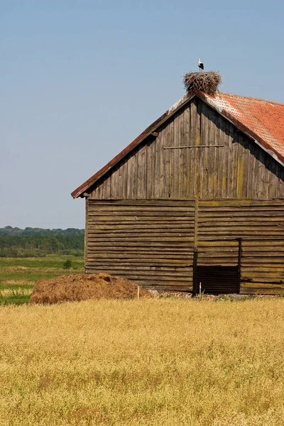 Scenic View Countryside Selective Focus — Stock Photo, Image