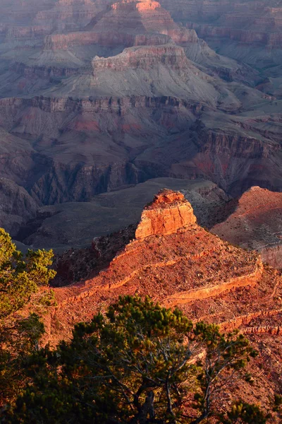 Morgens Grand Canyon — Foto de Stock