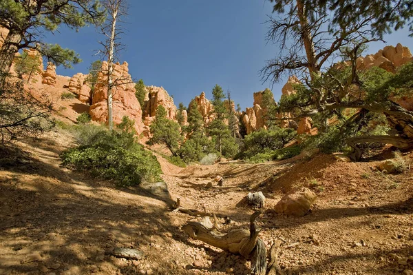 Ulusal Kanyon Kumtaşı Ulusal Parkı — Stok fotoğraf